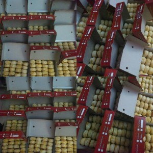 WhatsApp Image 2017-01-15 at 22.48.10