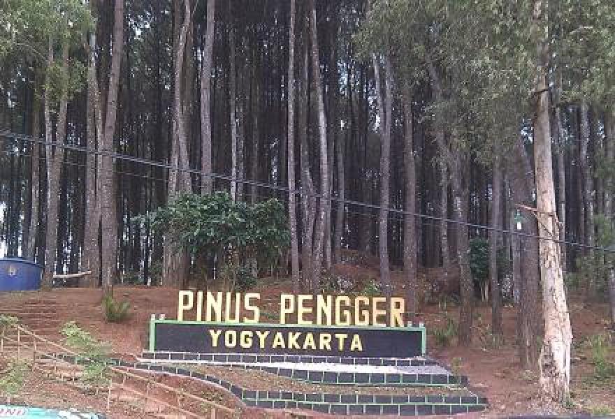 Hutan Pinus Pengger Nge Hits