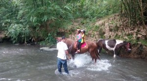 -wisata_berkuda2